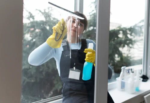 Nettoyage de vitres intérieures et extérieures à Gennetines